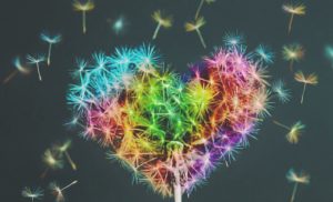 A dandelion is blowing wishes in the shape of a heart.