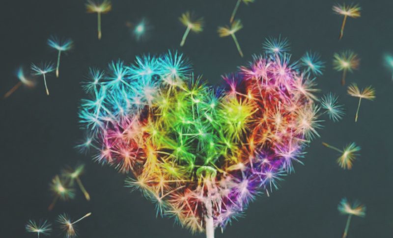 A dandelion is blowing wishes in the shape of a heart.