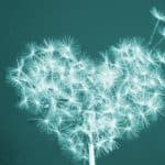 Choosing Paths: Unlock Your Potential And Chase Your Aspirations