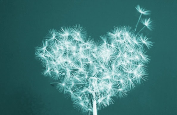 A dandelion is blowing wishes in the shape of a heart.