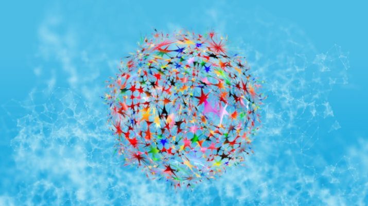 Brain learning path connections
