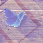 How to write a customized , CV on a table and a blue butterfly