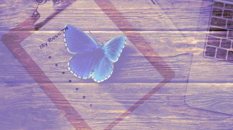How to write a customized , CV on a table and a blue butterfly